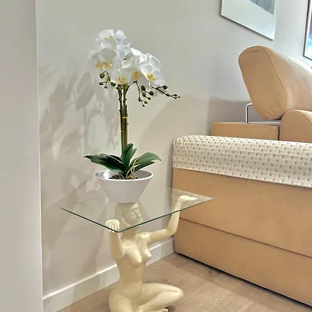 Apartamento Suite Apartment *